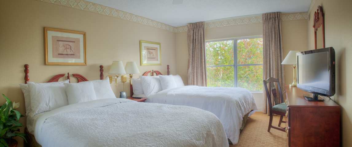 Homewood Suites By Hilton Charlotte Airport Habitación foto